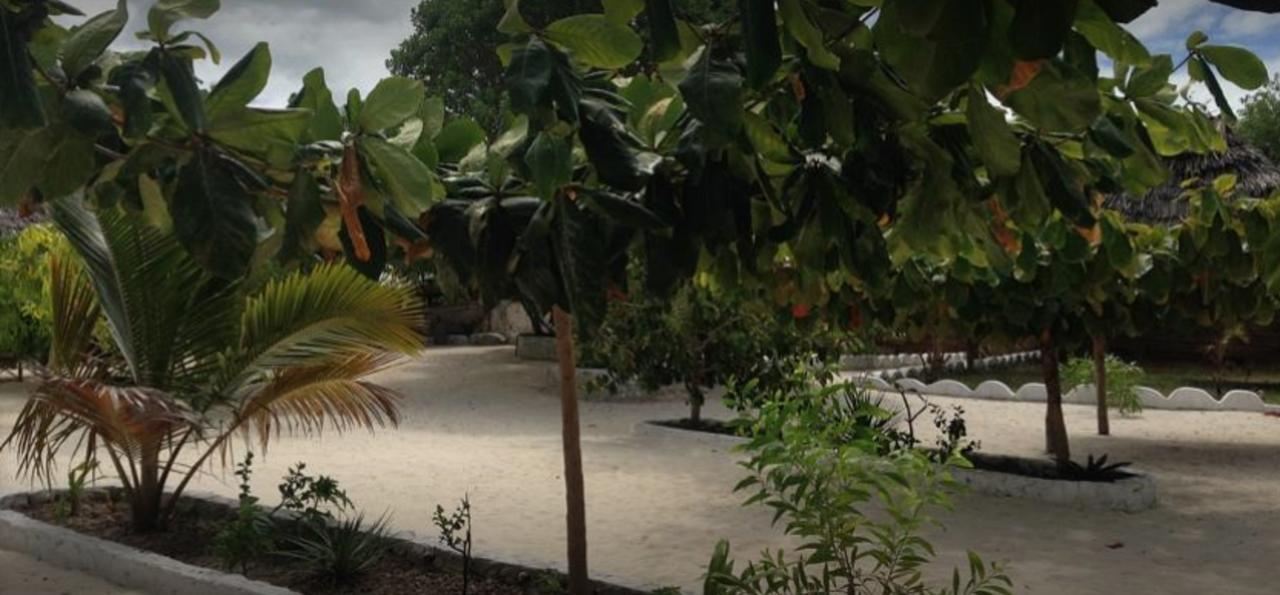 Mfumbwi Lodge Jambiani  Exterior foto
